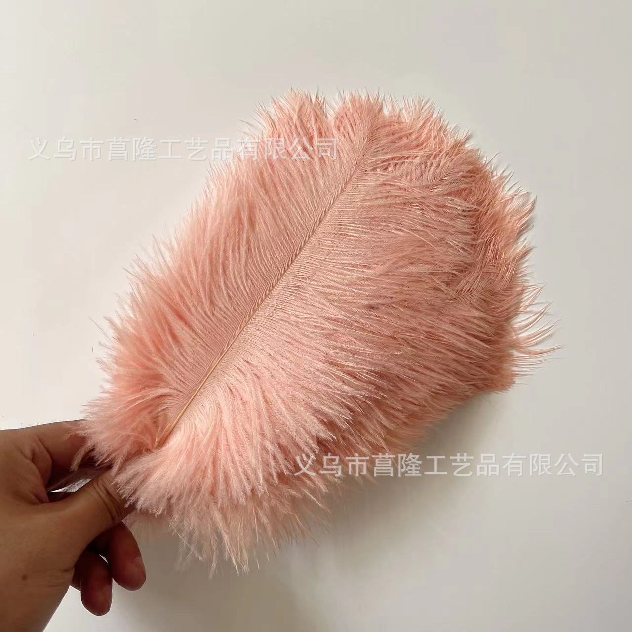 453e4584352bc17535092a55a17443