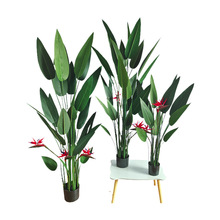常青外貿款仿真綠植盆栽仿真帶鳥美人蕉天堂鳥skybird現貨高仿真