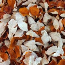 ���Ƥ���Ͻ����خa��ɵ�����Ƥ����ˮ�ݲ�ɢ�b�t��Ƥ�B����