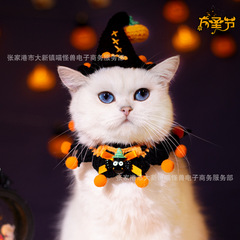 ハロウィーンの猫の犬は手で首を囲むペットの唾タオルを編みます。
