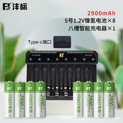 Hibrid akkumulyator batareyaları, Fengbiao Rechargeable Aa - no-5-8-sections-8-slots-smart-fast-charging-n8