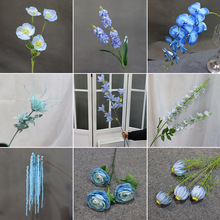 {ɫϵF{ĻcY÷滨·廨~