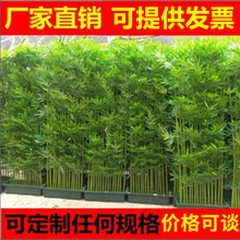 仿真竹子室内装饰加密塑料假竹子隔断屏风室外人造竹仿真植物造景