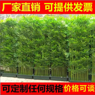 ���������҃��b������ϼ����Ӹ������L�������������ֲ���쾰