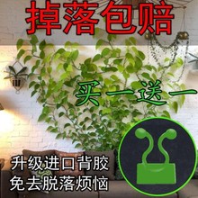 月季爬墙固定神器钢钉卡扣爬藤植物枝条墙面牵引固定器固定夹室外