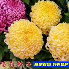 �ջ��N���ļ������¾ս�K���f�۾մ���׻��_���̨���⻨�ݷN��