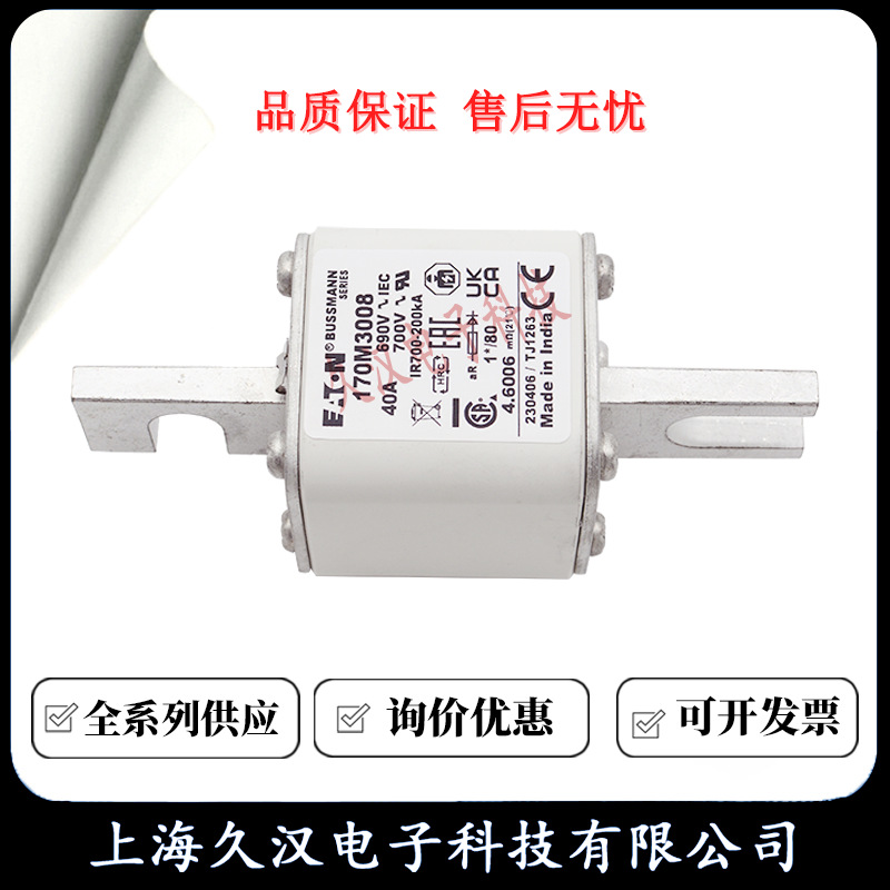 170M3008 170M3009 170M3010 170M3011 BUSSMANN 熔断器 保险丝