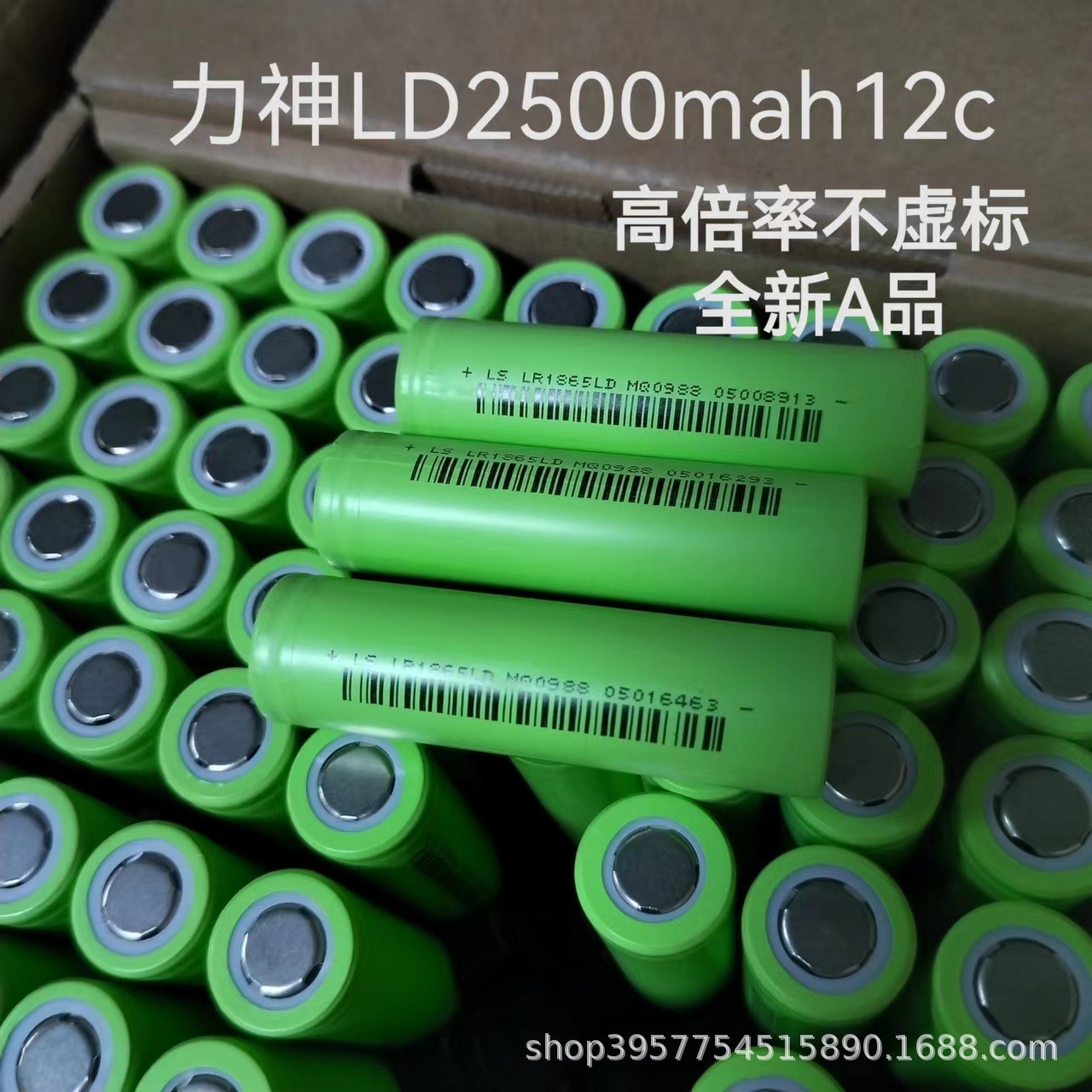 微信图片_20231225174512