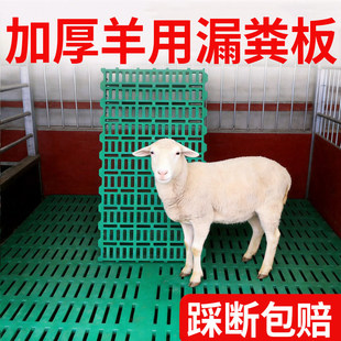 ��S©�S���������Bֳ���B������崲��Ȧ��©�p�ذ�ƴ��