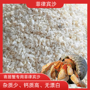 Hermit Crab Special Sand Natural Mat White Sand Coral Sand Philippine Sand Native Shell Sand Landscaping Fish Tank Bottom Sand