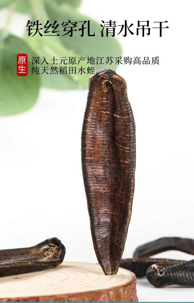 Dried Leech (Hirudo nipponica) — Wild-Caught Air-Dried Whole Leech, 500g key features