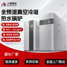全自动运行预混低氮冷凝真空热水锅炉 高效供热取暖稳定供应热水
