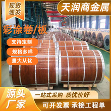 �ʉT�� ��X�\�V���� TDX51D+AM TS350GD+AM �\�X�V ���B ����