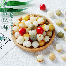 ̿��؈צ����������ִ�ɢ��������diy����������ɐ�؈צ����