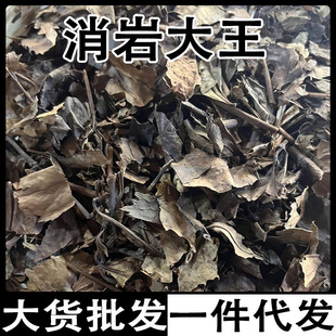 �������� ��������� �Ź��� �[���L���Ҳ����Ҵ������l���l