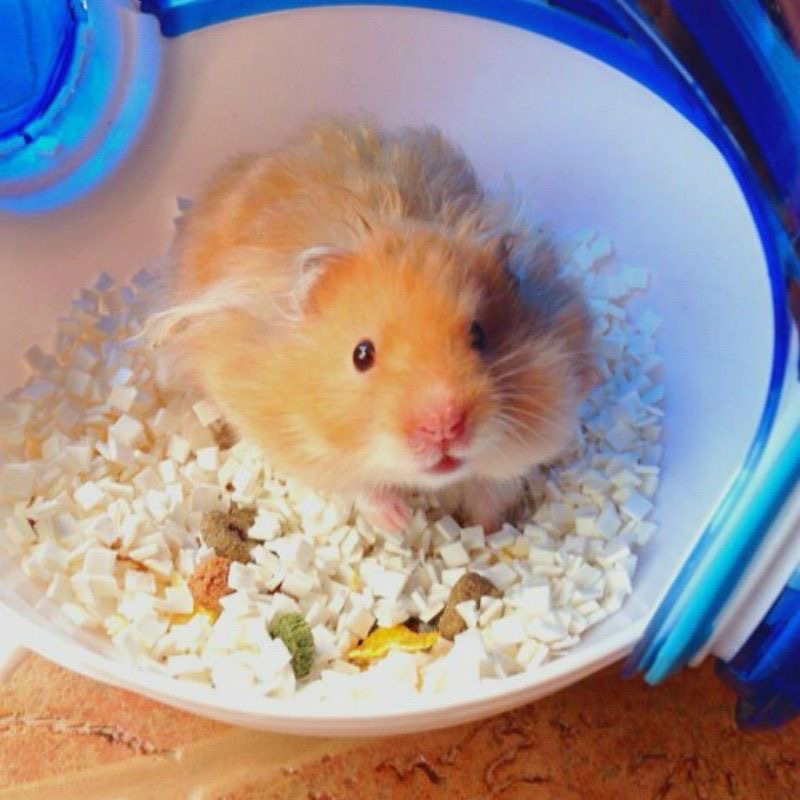 8d95d257-5086-4268-8d8a-03ec8b448463.jpe