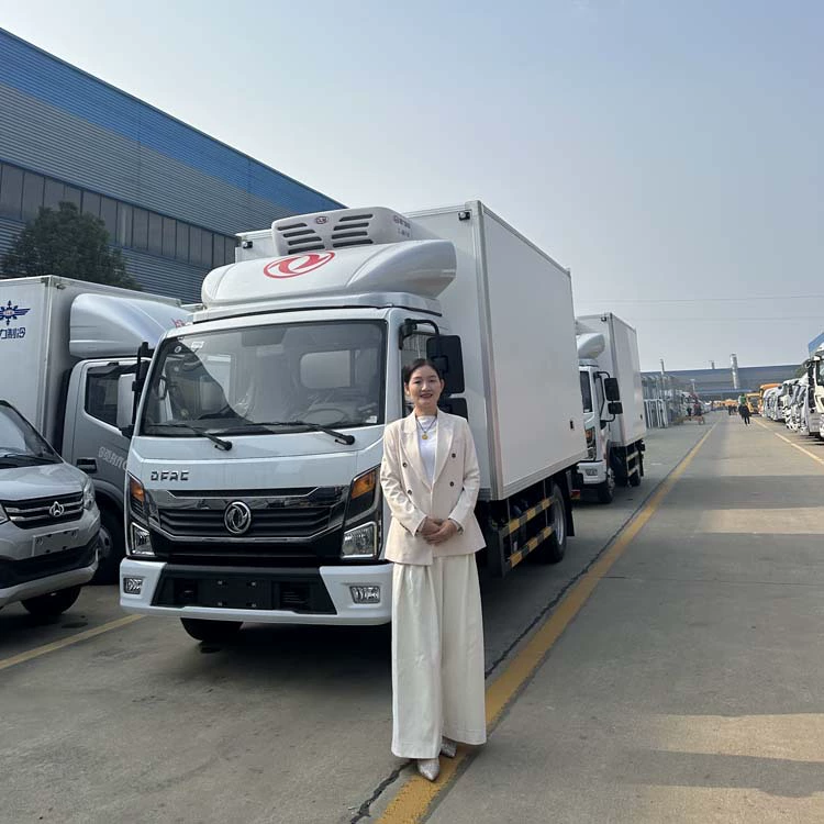  Dongfeng Dolica холодильный грузовик 2,8 м холодильный грузовик низкотемпературный вакцинный грузовик прямая поставка с завода
