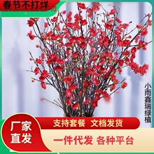 һ�����l�t÷�һ���֦�lˮ��ֲ���҃Ⱥ��Bѩ����֧ˮ�B�ɻ����͏d