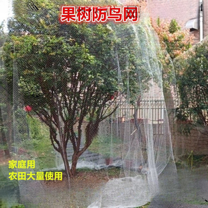 果树防鸟网 樱桃树枇杷树嘉宝树防鸟罩尼龙网葡萄园挡鸟拦鸟网子