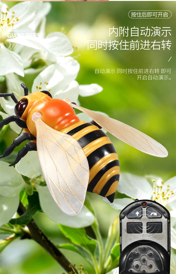 遥控蜜蜂-750_11.jpg