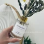无火厚底透明干花香薰瓶