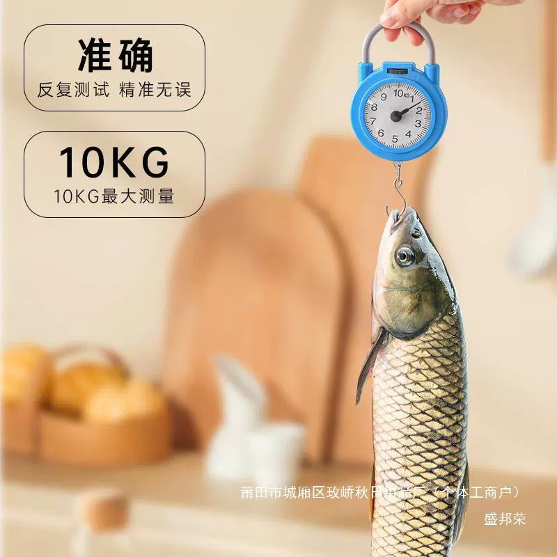 Factory direct sales small high-precision portable household portable electronic scale small hook scale spring scale