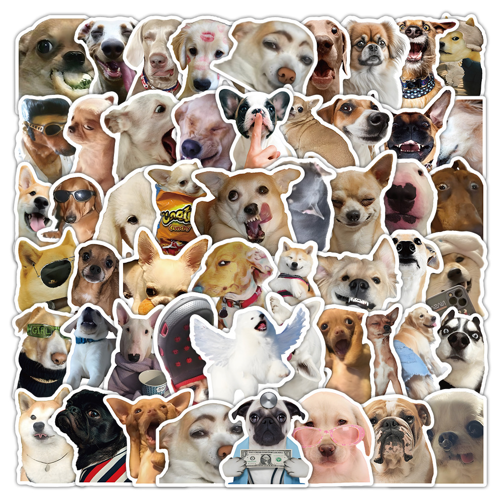 1 Set Dog Cat Learning PVC Self-adhesive Cute Stickers display picture 20