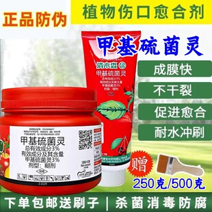 �������l��ľ��ֲ��������τ�3%�׻�����`���ډTĤ���O��������