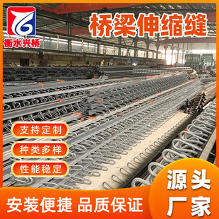 Bridge Expansion Joint Bridge Deck Continuous Multi-Directional Displacement C40 Type F60 Type Modular Comb Plate Bridge Expansion Joint
