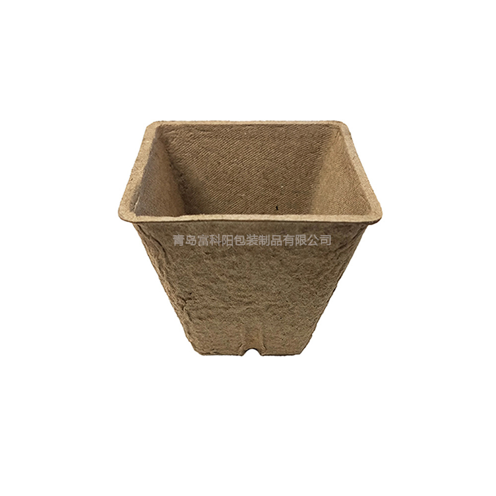 Macetas de pulpa de papel desechables para plántulas, cuadradas de 6 cm, con 4 agujeros, protegen las raíces durante la germinación de las semillas image 4