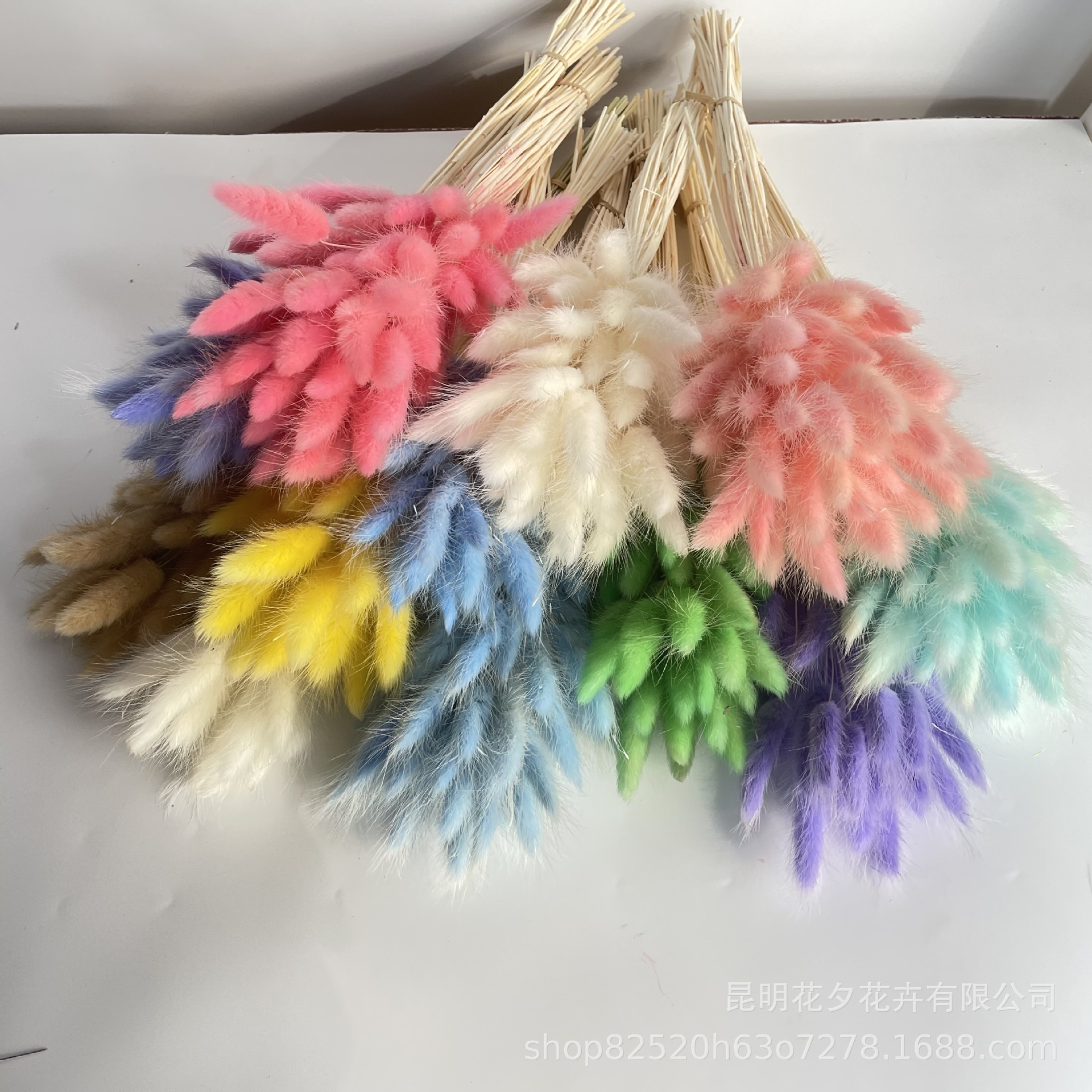 IMG_0358 - 副本.JPG