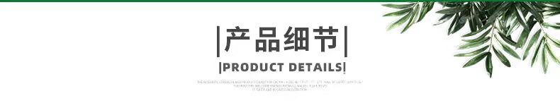 8525d2cad25103d44d54f1a97343e1