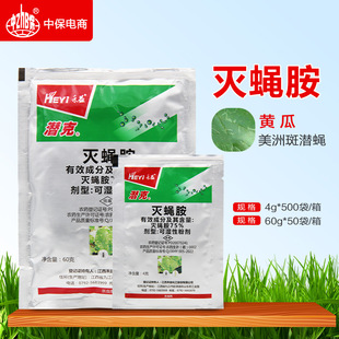 ���杓�� 75%��ω�� �S�� ���ްߝ�ω  �rș���x��