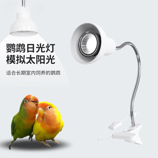 ��Ƥ���Pĵ���W�^uvb�a�}��uva�t�⾀�����؟��B�\�����չ��