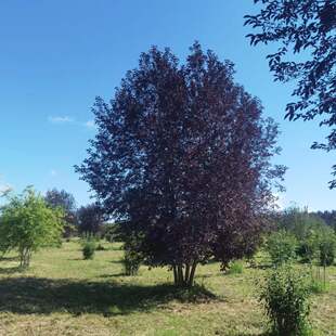 �������~����  ���~�����  ���~���� ���� ��������