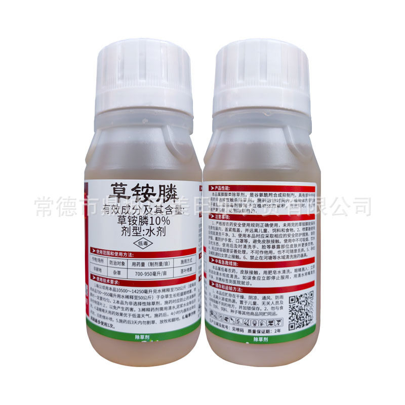 反背白底圖200克