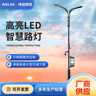 Manufacturers Wholesale City Smart Street Light Led Lighting 5g Smart Light Pole Multi-Function Display Monitor Screen Street Light