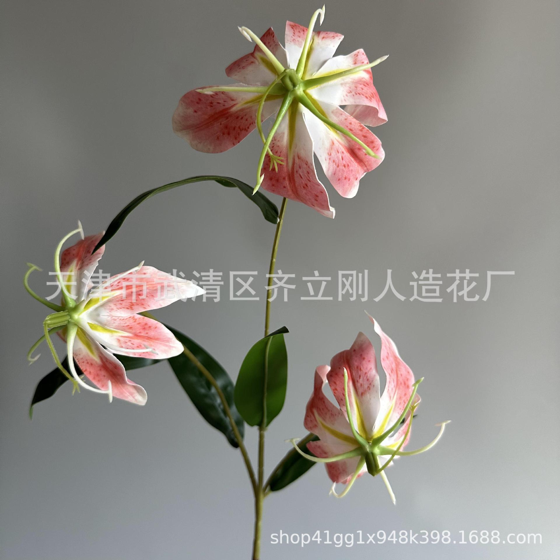16호