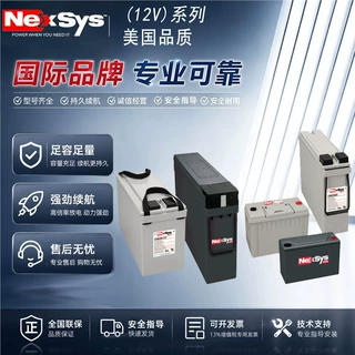 美国NEXSYS蓄电池12NXS85 12V85AH消防设备医疗设备电梯电信