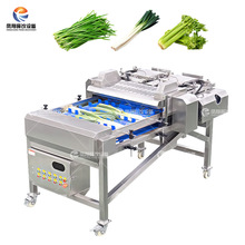 �P�蹤�Sֱ�I�p�L���и��C���o�~��׼�и���x�O���۲��жΙC