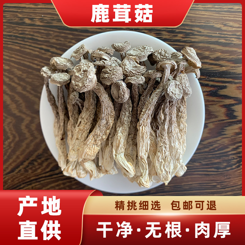 Deer Antler Mushroom Specialty Dry Goods Agricultural Products Wholesale Mushroom Crispy Mushroom Stew 500g Factory Direct Supply and Delivery