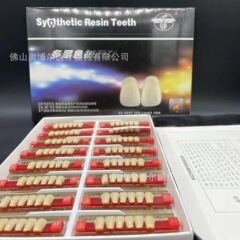 クロスボーダー専用硬質合成樹脂歯全口義歯プラスチック樹脂入れ歯A2号学生練習歯磨き