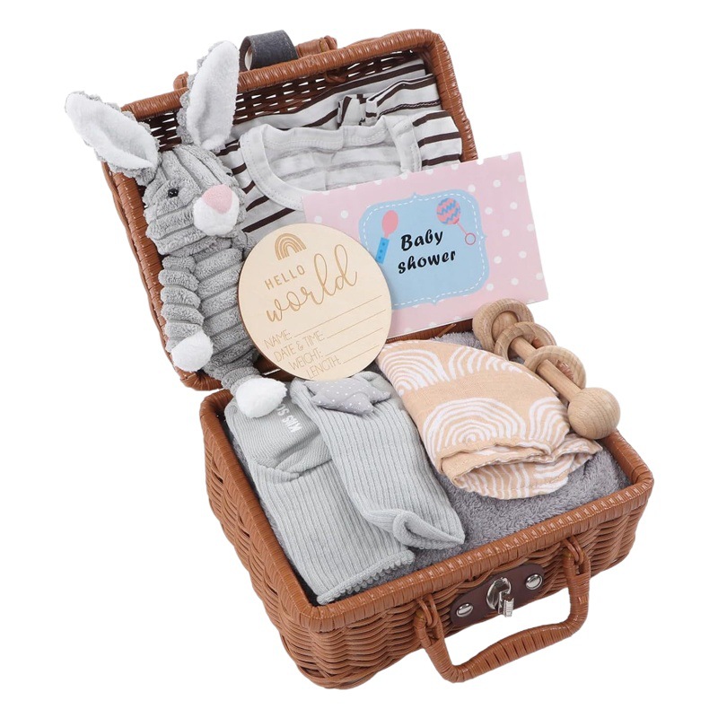 Amazon Baby Shower Gifts Newborn Baby Gift Carrier Soothing Toy Gift First Year Gift