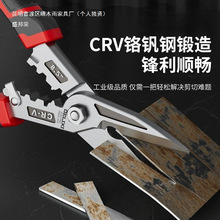 �������FƤ�������I���p����Ǐ������P䓵Č����F�z�􄃾������Q