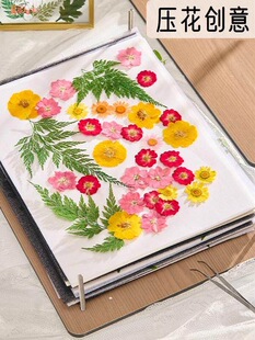 Ѻ����������ֲ��˱������������ﻨ�ֹ�diy���߲�����򉺻�