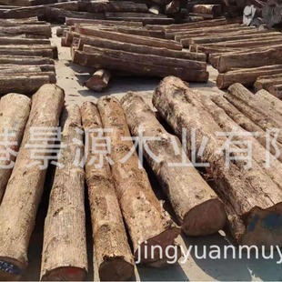 �ϓ���ľ������ľ������ľ�˹�����ľ��ķ�ľԭ�����ϓ���ľ