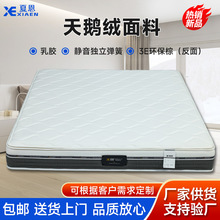 ���z���|�������Z�q�������z���ɴ��|���Ǽ��Ƶ��������ϯ��˼