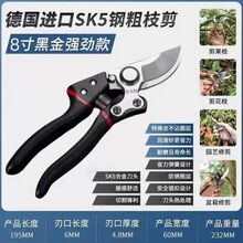 SK5 ��Чʡ��������֦��  ����ժ������ רҵ԰�չ����޼�����