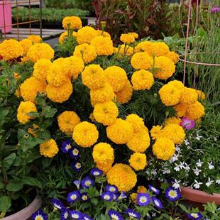 ���f�۾շN�ӡ���ȸ�ݳ��ջ�ܽ�ػ��N�����͟Ứ���L�̨���@����