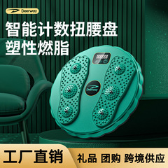 厂家直供扭腰盘健身智能计数扭腰机按摩运动美腰机甩脂塑身扭腰盘
